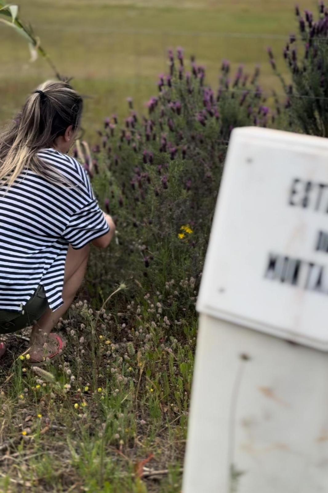Monte Santo Villa Montargil Eksteriør billede